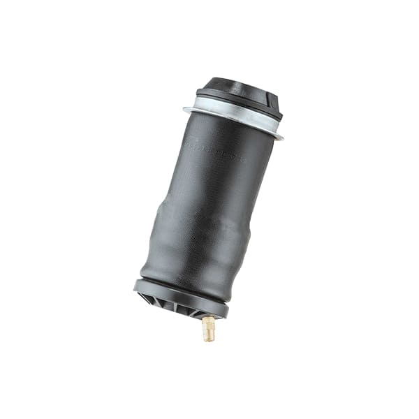 REPARO FUELLE CABINA TRASERO SCANIA R 2019/                                                                                                           