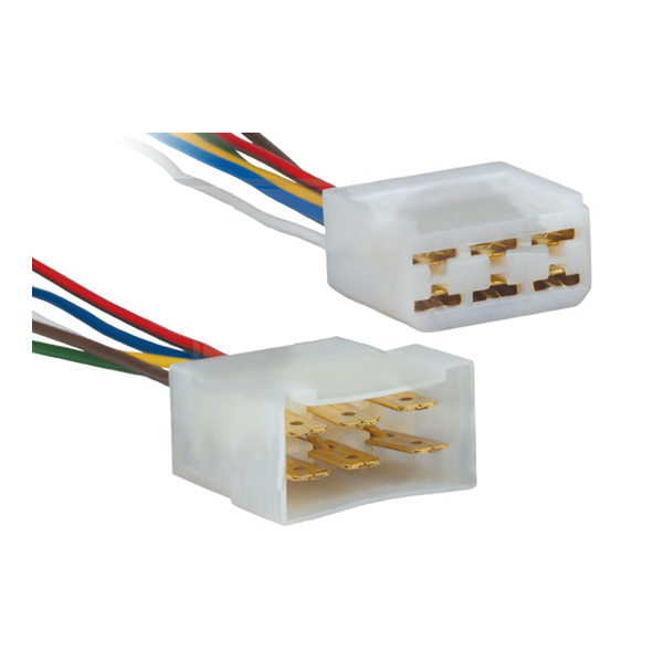 FICHA MACHO/HEMBRA 3 VIAS                                                                                                                             